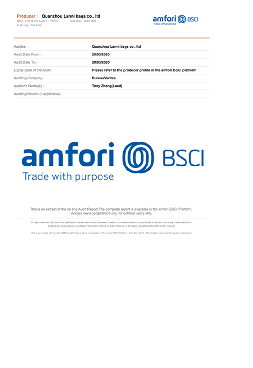 BSCI report update