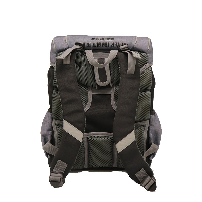 Hardshape backpack
